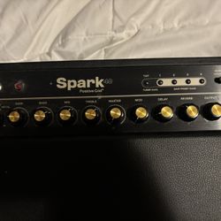 Positive Grid Spark 40