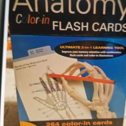 Anatomy  Color Flash Cards