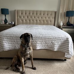 California Kings Bed  Used 