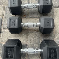 Dumbbell Gym 