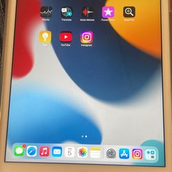 Apple iPad Mini 4- Rose Gold Case Charger Earbuds 