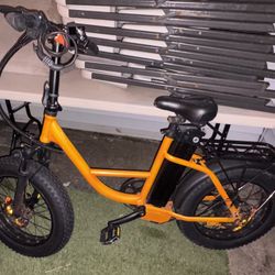 Electric Bike