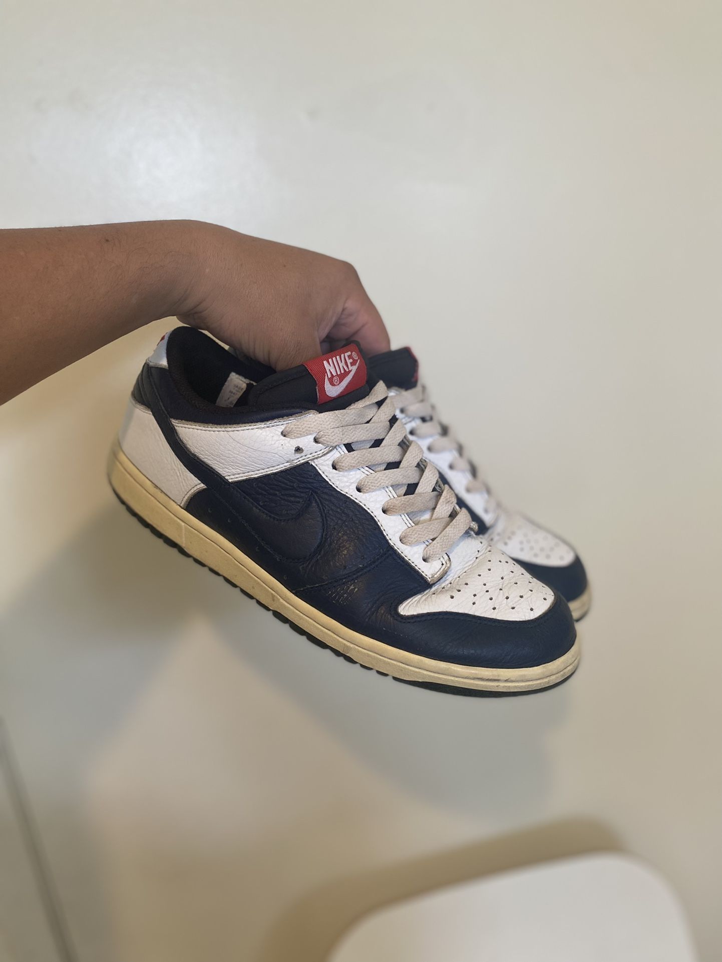 Nike Dunk Low CL 'Jordan Pack' Year 2006 (304714 442) (Beaters