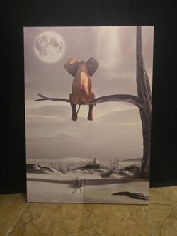 Elephant picture