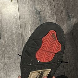 Jordan 4 Taupe Hazes 11