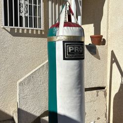 Punching Bag With Stand