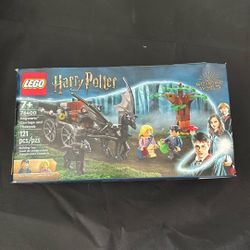 Lego Harry Potter Hogwarts carriage puzzle