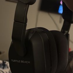 Turtle Beaches 