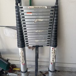 Telescoping Ladder 