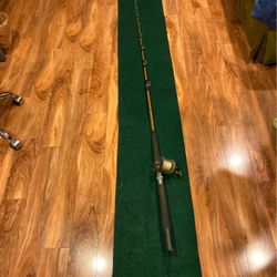 Saber Rod And Penn Reel Combo
