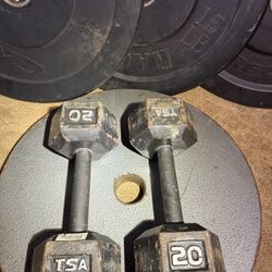 20 pound dumbbells