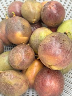 Passion Fruit