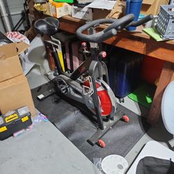 Sunny Exercise Bike