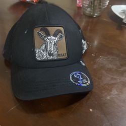  Top Level Hat GOAT