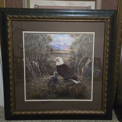 Nesting Eagle W Eaglet: Home Interiors