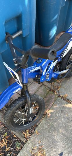 Mini Kids Bike