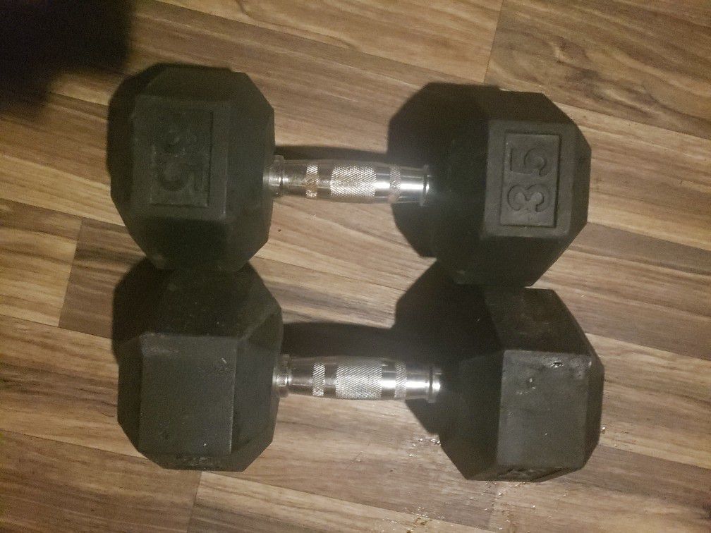 Free Weights And Bench Bar 