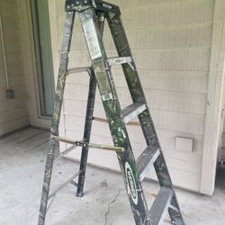 Werner 5’ 225lb load fiber ladder 