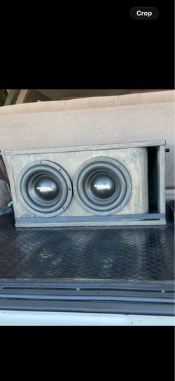 2 10” resilient Subwoofers and gately box