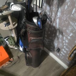 GOLF CLUBS WITH BAG (10 CLUBS SET)