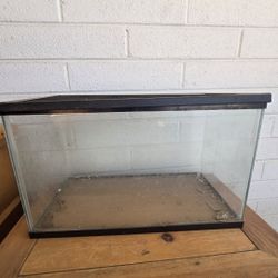 Small Fish Tank