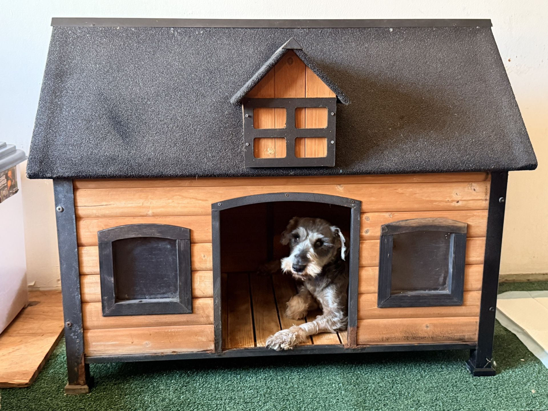 Dog House