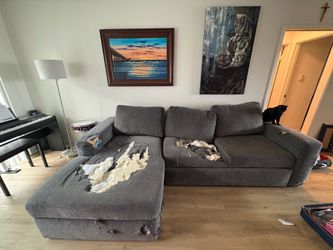 Couch destroyed by dog for free