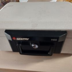Sentry Safe