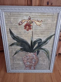 Potted Plants Picture