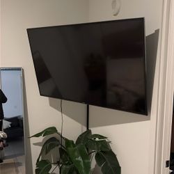 50 Inch tv