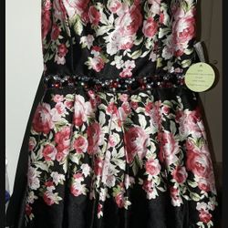 Windsor Dress Size 13