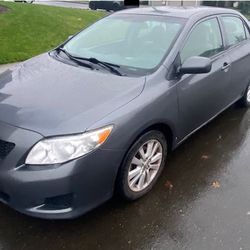 Toyota Corolla 2010