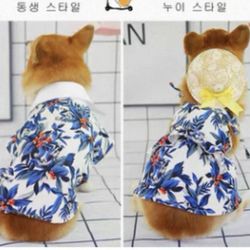 Dog clothesw shirt and skirt set with 2 hats hawaiian vacation beach vibes