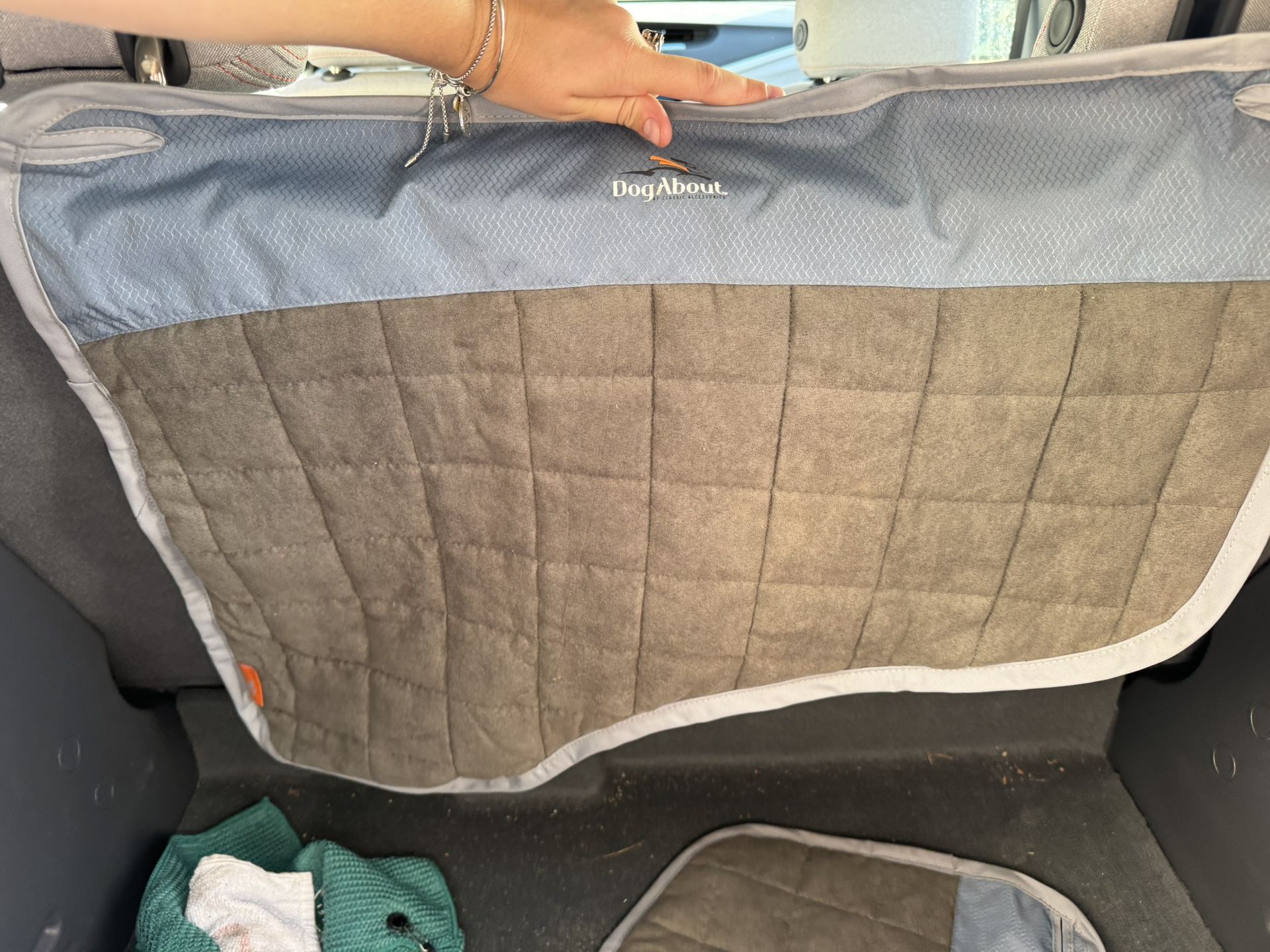 DogAbout Car Door Cover