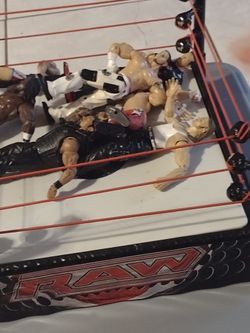 WWE Figures