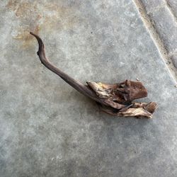 Decorative DriftWood 