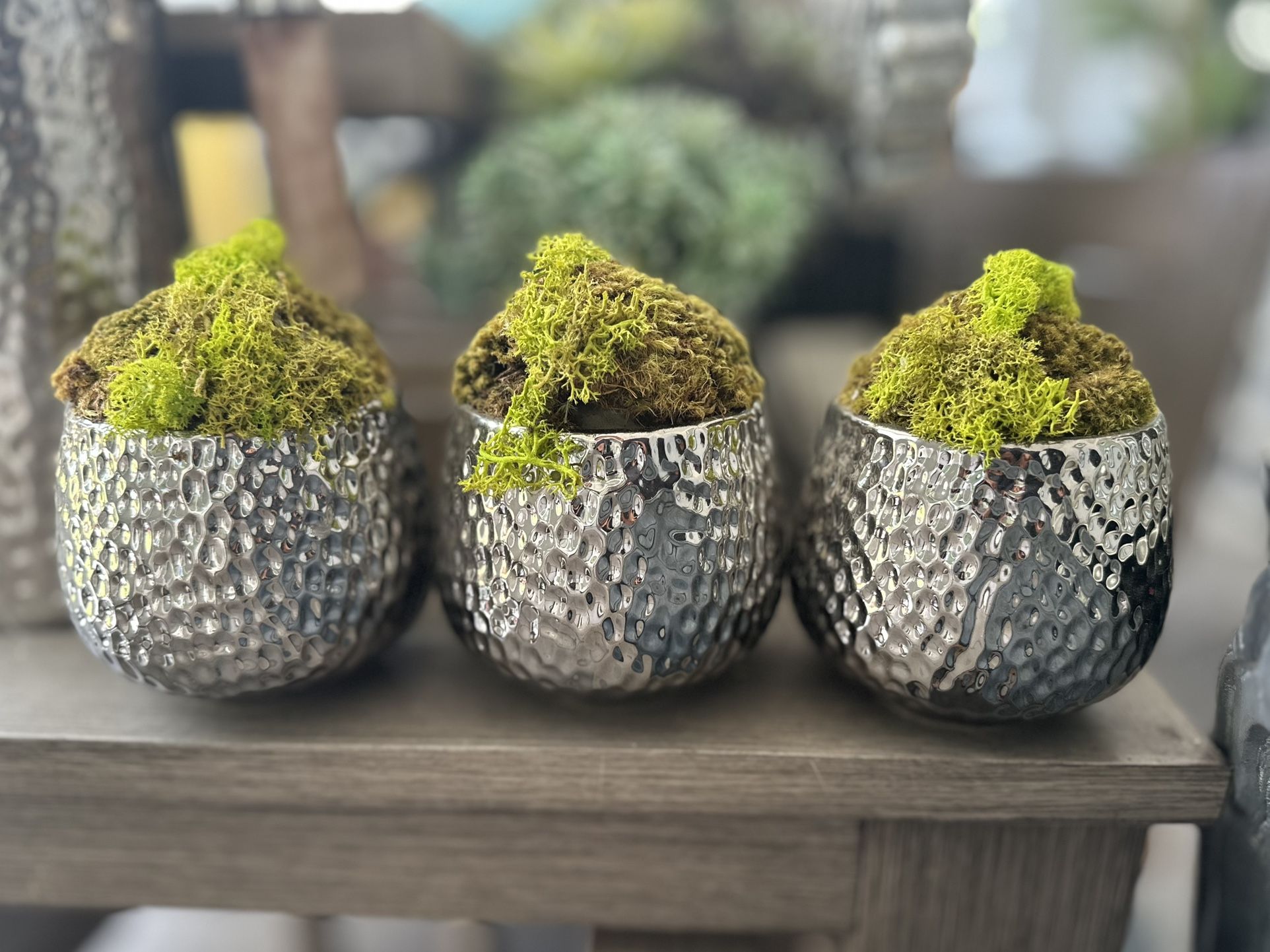 3-Set Plant Decor