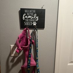 Key and Dog Leash Organizer 