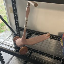 Kids Scooter (bird brand)