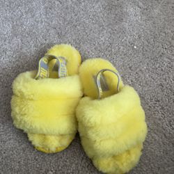 Ugg Slippers 
