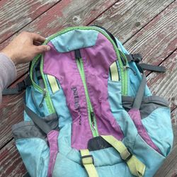 Patagonia Backpack 