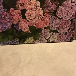 Floral Canvas