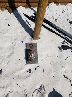 Beer opener
