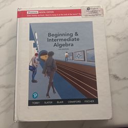 Beginning And Intermediate Algebra