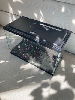 Fish Tank 5.5 Gallon