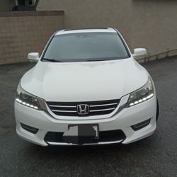 Honda Accord Ex-L  2013 White