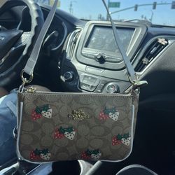 Strawberry Coach Bag