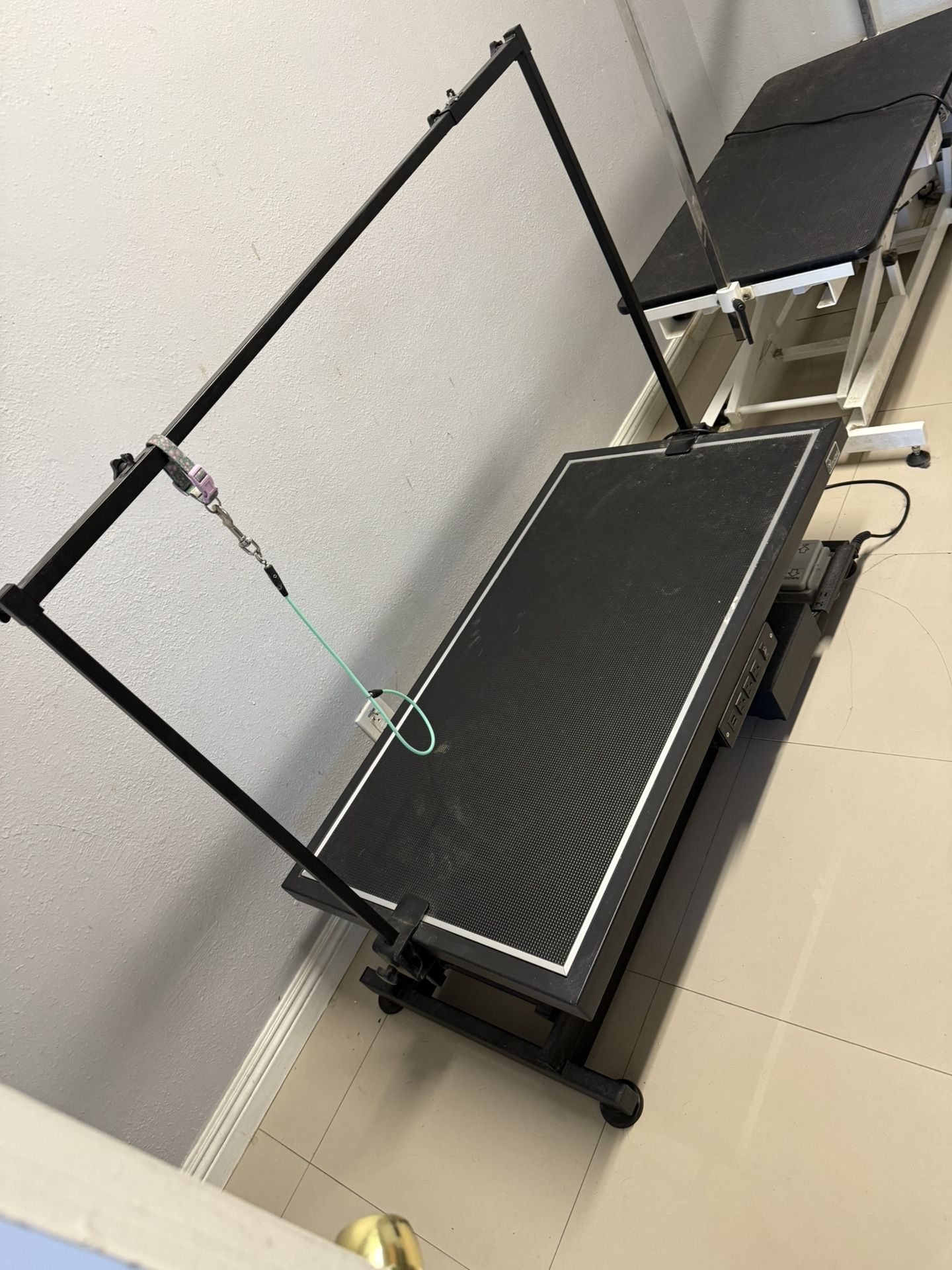 Dog Grooming Table