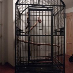 Bird CAGE