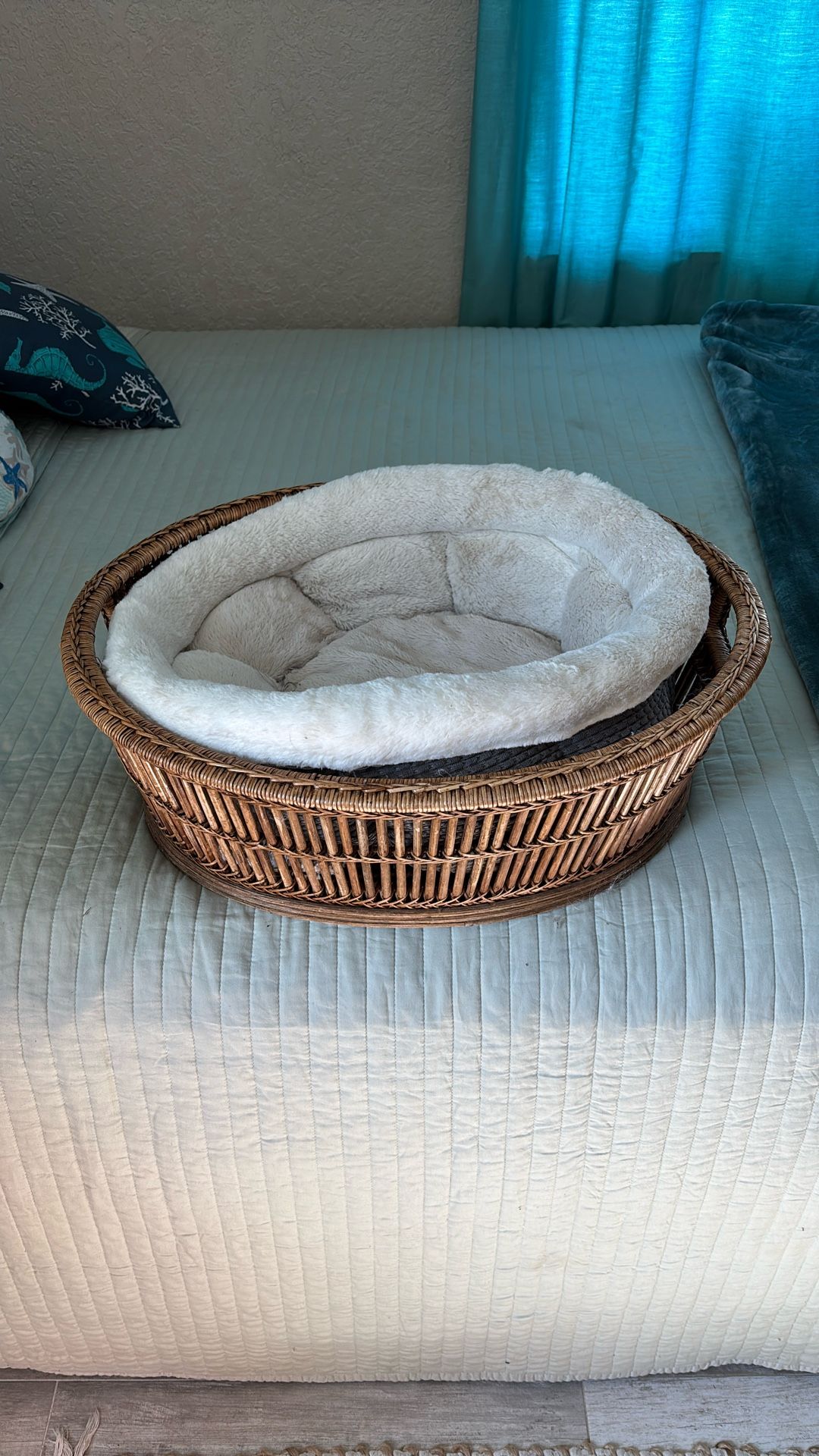 Dog Bed